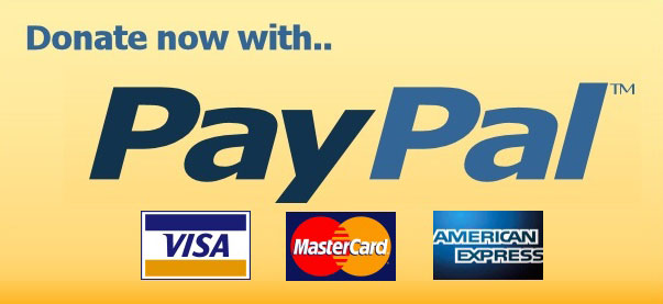 Paypall Logo